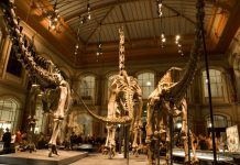 Klassenfahrten-Urteil: Philologen rechnen damit, dass die Hälfte der Ausflüge gestrichen werden muss