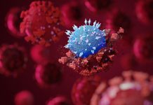 Omikron rauscht durch die Tagesstätten: Schon zwölf Kitas in NRW geschlossen