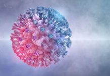 Lehrerverband: Schulen sind nicht sicher (“Wir rufen nach Hilfe, niemand kommt”)