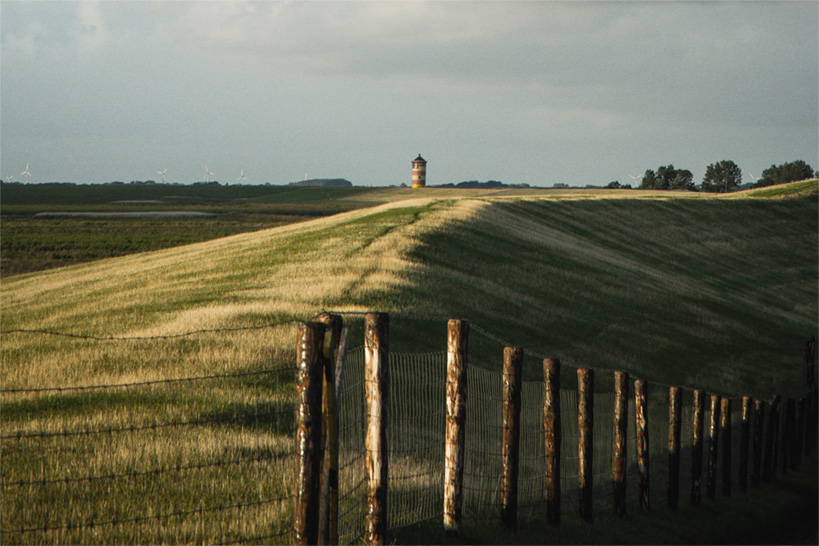 Blick auf den entfernten rot-gelb gestreiften Pilsumer Leuchtturm über einen Deich mit Schafen und eine flache Landschaft hinweg.