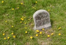 Nationaler Bildungsrat vor dem Aus? Meidinger kritisiert die Kultusminister