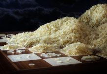 Die Exponentialfunktion macht in der Corona-Krise deutlich, wie wichtig Mathematik ist