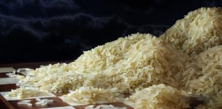 Die Exponentialfunktion macht in der Corona-Krise deutlich, wie wichtig Mathematik ist