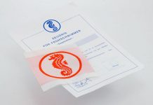 Jeder vierte Viertklässler schafft das Seepferdchen-Abzeichen nicht