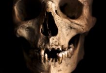 Gymnasiasten beerdigen Schulskelett – würdig mit Gottesdienst