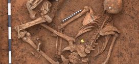 Ist das Deutschlands ältestes Mordopfer? Das fragt sich die "Bild"-Zeitung. Foto: Landesarchäologie Speyer