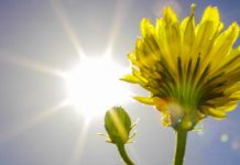 Kurz vor Weihnachten: Schülerrat fordert neue Hitzefrei-Regeln