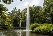 Zwei Fontänen in einem Teich in einem Park.