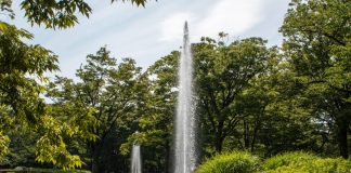 Wie stark natürliche urbane Räume die psychische Gesundheit von Jugendlichen fördern Zwei Fontänen in einem Teich in einem Park.