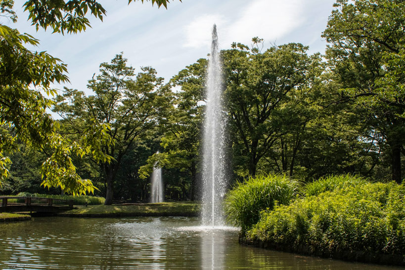 Zwei Fontänen in einem Teich in einem Park.