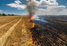 “Strohfeuer” Digitalpakt? GEW-Studie: Bedarf der Schulen liegt viermal so hoch