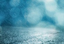 Auch in Hessen: Unterrichtsausfall wegen Orkantief “Sabine” am Montag möglich