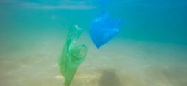 Plastiktüten verschmutzen die Weltmeere. Foto: dronepicr / flickr (CC BY 2.0)
