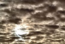 Schulen öffnen nach Sturmtief “Sabine” am Dienstag wieder – aber nicht alle