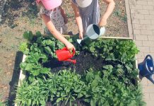 Gesucht: Deutschlands grünste Grundschule