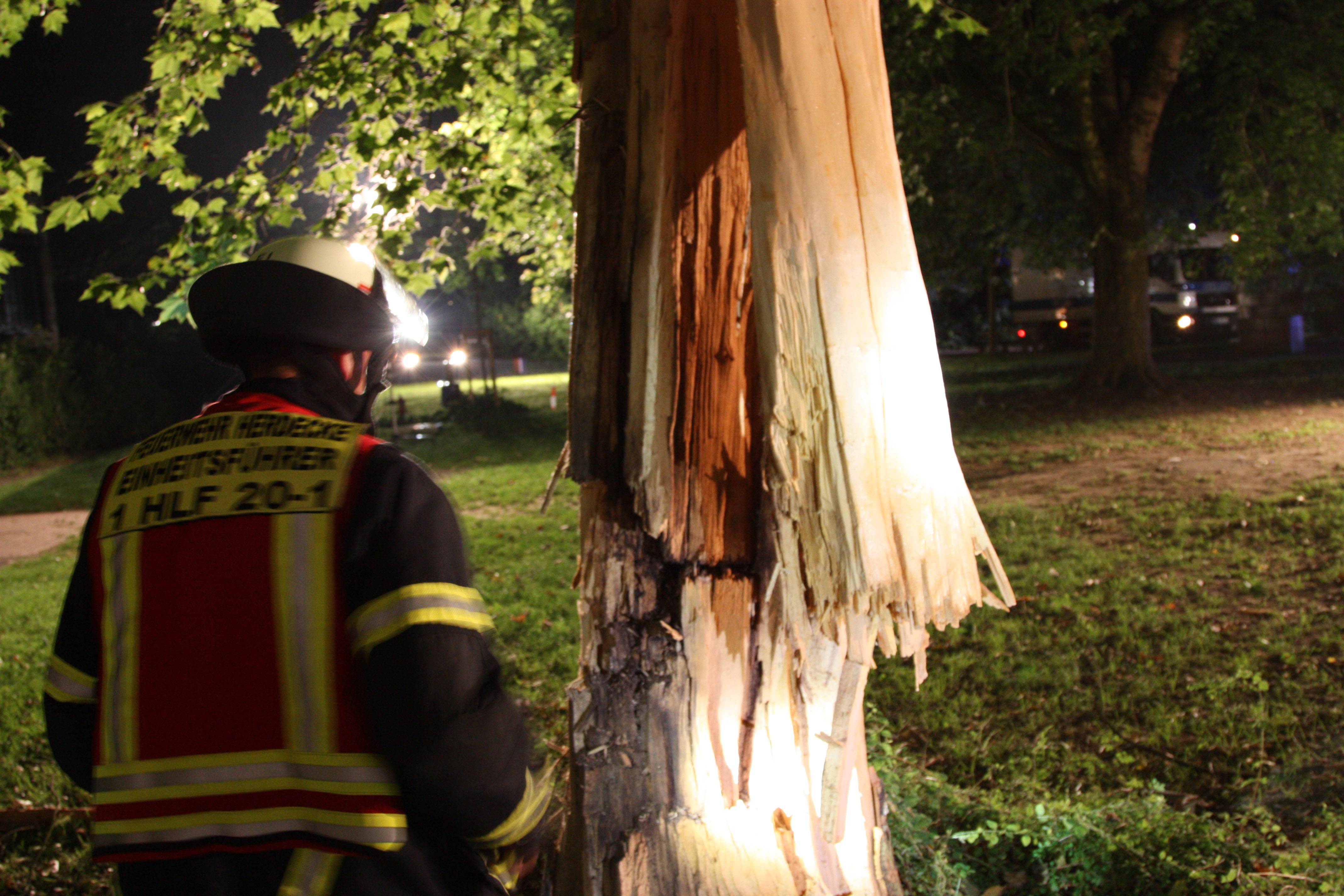 Die Feuerwehr musste den Baum sofort fällen. Foto: Daniel Heesch / Feuerwehr Herdecke