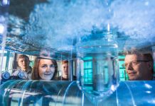 Lernen Sie die Berufe der Energie- und Wasserwirtschaft kennen!