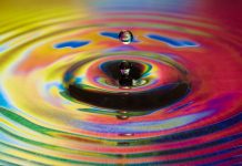 Ernst Klett Sprachen Verlag launcht BNE-Lektüren für den Unterricht