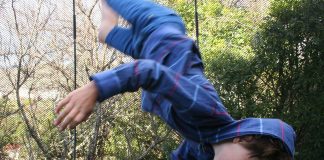 Man muss die Bildung nicht auf den Kopf stellen, um Lernräume zu optimieren. Foto: pixabay