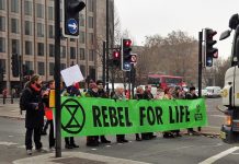 Unvollständige AStA-Angaben bringen radikale Klimaschützer an die Uni