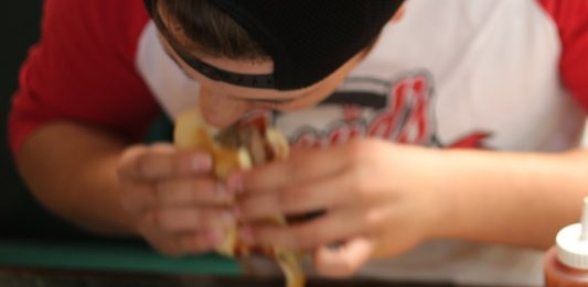 Trotz des Salatblatts: Fast food hat meist eine geringe Nährstoffdichte. Foto: John R. Perry / Pixabay (CC0 1.0)