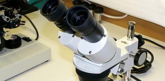 EU investiert 650 Millionen Euro in Spitzenforschung