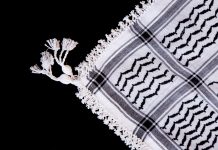 Alle Palästina-Symbole in Schulen verbieten? Streit um Schreiben von Bildungssenatorin