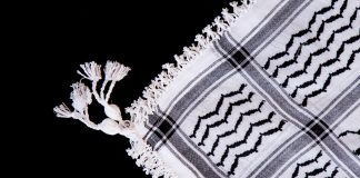 Alle Palästina-Symbole in Schulen verbieten? Streit um Schreiben von Bildungssenatorin