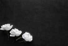 Bürgermeisterin Giffey und Ministerpräsident Rhein legen Blumen in Berlin nieder