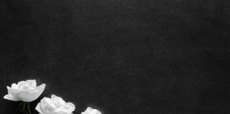 Bürgermeisterin Giffey und Ministerpräsident Rhein legen Blumen in Berlin nieder