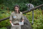 Eine Tierpflegerin mit Headphone blickt zu den Bildbetrachtenden während der Fütterung eines Katta-Lemurs.