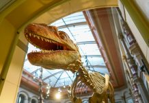 Die Sprache der Dinge: Wie Museen Kindern und Jugendlichen Weltwissen erschließen