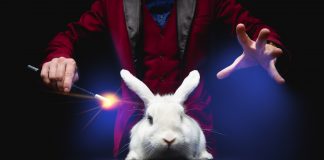 Zauber, zauber: Zusätzlicher Politik-Unterricht soll nicht zu Lasten anderer Fächer gehen