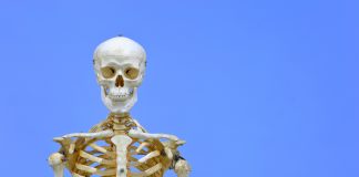 “Wir tragen ein Schulmitglied zu Grabe”: Trauerfeier für ein Schul-Skelett