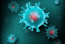 Bundesland meldet: 160.000 Corona-Infektionen bei Schülern, 25.000 bei Lehrern (offiziell)