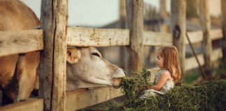 Landkinder leben gesünder? Von wegen – wieso Stadtkinder oft fitter sind