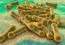 Nicht geimpft: Schüler an Diphtherie (“Würgeengel der Kinder”) gestorben