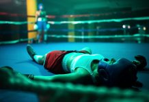 „Das ist kein Unfall, sondern ein Fehler im System!” – Nächste Klatsche für die Bildung: die IQB-Studie (Reaktionen von Lehrern)