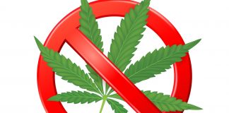 Schulen müssen Cannabis-Mitnahme in der Schulordnung ausdrücklich verbieten (sonst…)