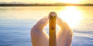 Eins im Zeugnis? Landesregierung spendiert Rundfahrt (mit einem Haken)