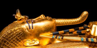 Ägyptologie, Judaistik: Rechnungshof kritisiert selten belegte Master-Studiengänge