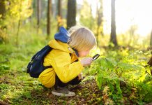 Mit Auftrag durchs Gehölz: Wie Kinder den Wald als Lernraum erobern