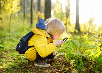 Mit Auftrag durchs Gehölz: Wie Kinder den Wald als Lernraum erobern