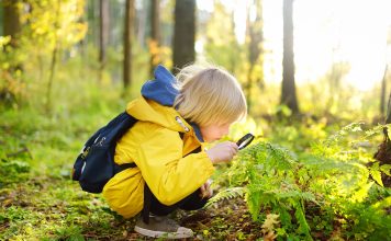 Mit Auftrag durchs Gehölz: Wie Kinder den Wald als Lernraum erobern