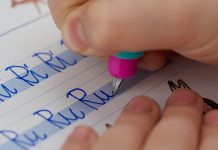 „Kinder können sich das nicht selbst beibringen“: VBE-Workshop zum Thema Handschrift und Rechtschreibung