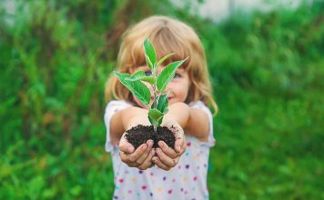 Lernort Natur: „Viele unserer Kinder wissen nicht, wo Lebensmittel herkommen“