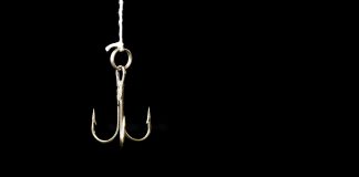 Verkürzte Ausbildung weckt Interesse: Deutlich mehr Quereinsteigende an Kitas