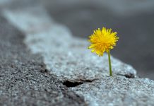 Nach Brandbrief: Wie Schulleiter Engin Çatık eine bereits abgeschriebene Schule Schritt für Schritt wieder aufbaut
