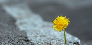 Nach Brandbrief: Wie Schulleiter Engin Çatık eine bereits abgeschriebene Schule Schritt für Schritt wieder aufbaut