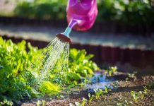 LemaS-Tagung: Potenzialförderung in der Schullandschaft verankern